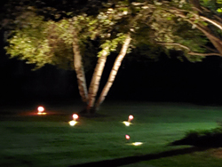 Landscape Lighting