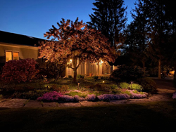 Landscape Lighting